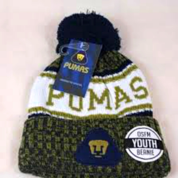 Beanie Pumas - Picture 1 of 3